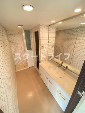 大阪市淀川区野中北１丁目の賃貸マンションの洗面所