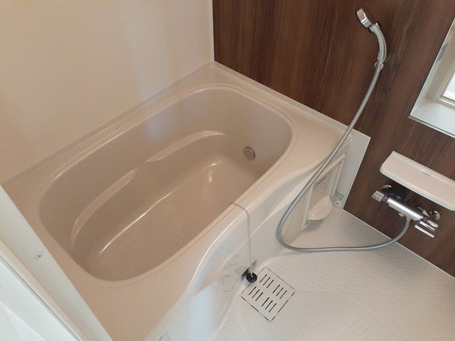 ラ・ルーチェⅡの浴室
