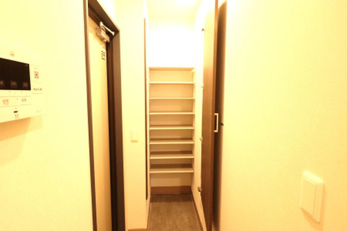ルヴィータ大秋のその他