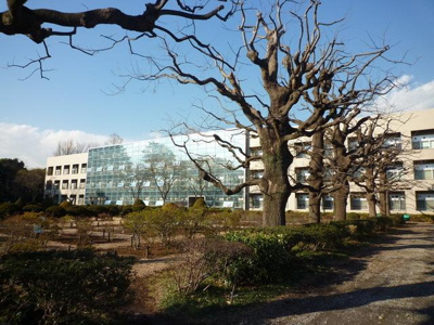 千葉大学 1000m