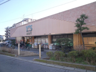 ワイズマートディスカ飯山満店 540m