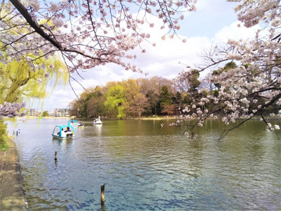 都立石神井公園まで500ｍ