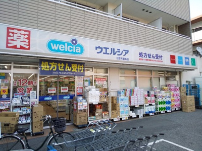 ウェルシア日野万願寺店まで300m