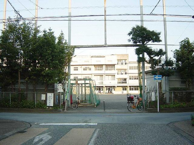 シティ・コート葵の周辺|新通小学校まで450ｍ