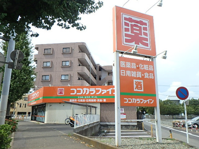 【周辺】Ｈａｗｋ　Ｆｏｒｅｓｔ