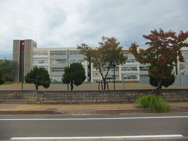 チェスタ仲町の周辺|大手町小学校まで1000m