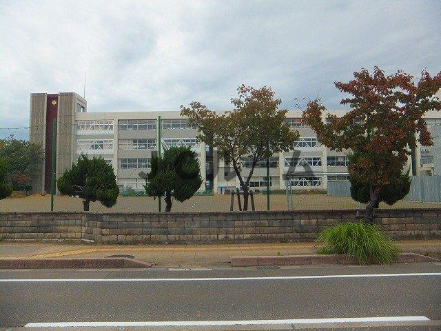 チェスタ仲町の周辺|大手町小学校まで1000m