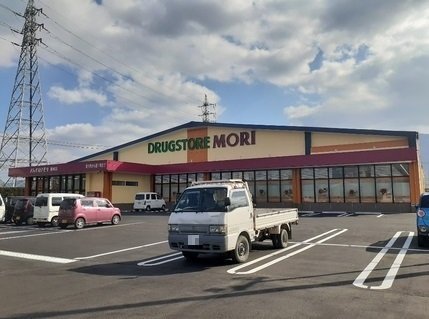 ビサイド．ｓｔの周辺|ドラッグストアモリ豊城店まで1130m