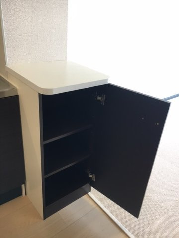 レオネクストカロータの内装|キッチン横収納