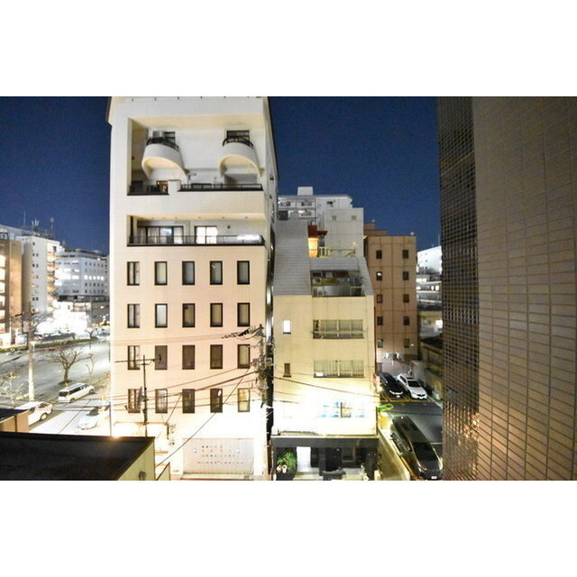 メインステージ錦糸町Ⅶラピスの内装