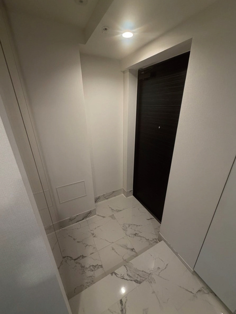 グランドシティタワー月島の玄関|※写真は同タイプ住戸です。