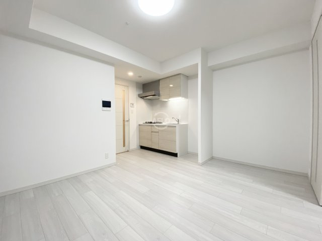 スプランディッド難波SOUTHの収納|スプランディッド難波SOUTH　収納