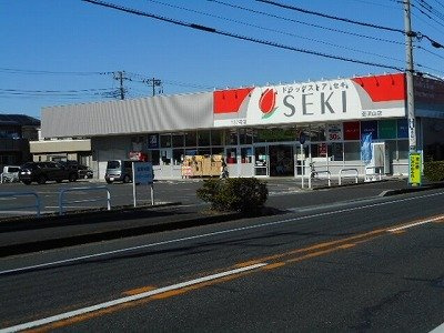 ソレアード南流山の周辺|ドラッグストアセキ南流山店まで240m