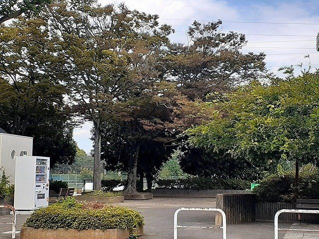 エルディムグリーンハイツ９３の周辺|青葉公園まで800m