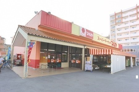 ソレアード南流山の周辺|マルヤまで850m