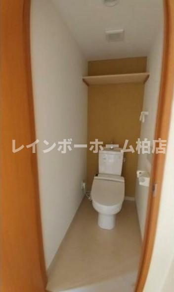 特典：仲介手数料が無料です!!のトイレ|落ち着いたトイレです