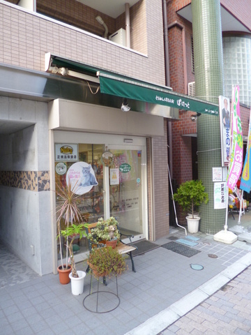 Ｃａｓａ　Ｆａｍｉｌｉｅ ペット共生のその他|トリミングスタジオぽけっと