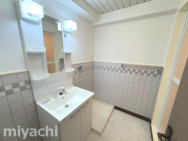 フォーシーズン常三島の洗面所