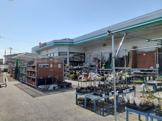 【周辺】 | コンフォール　Ｂ | コメリハード＆グリーン藤井店まで100m