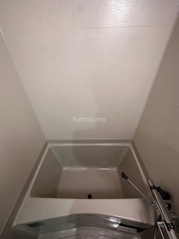 プレサンス大国町ラヴエニールの浴室