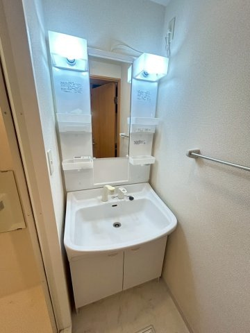 シャルマンフジ阿波座ウエストの洗面所