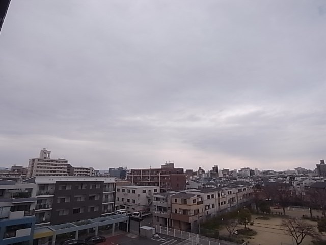 カクタスガーデンの展望