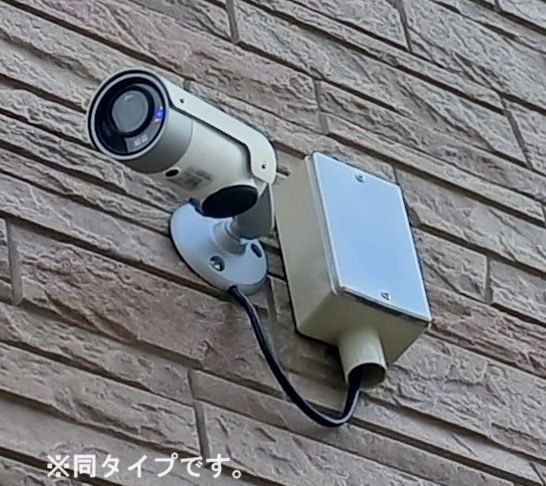アルストロメリアⅤのその他