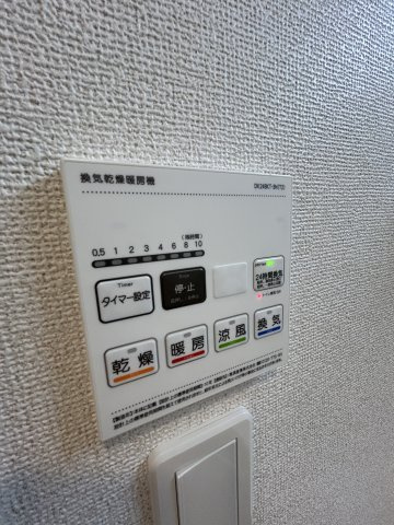 アルストロメリアⅤ