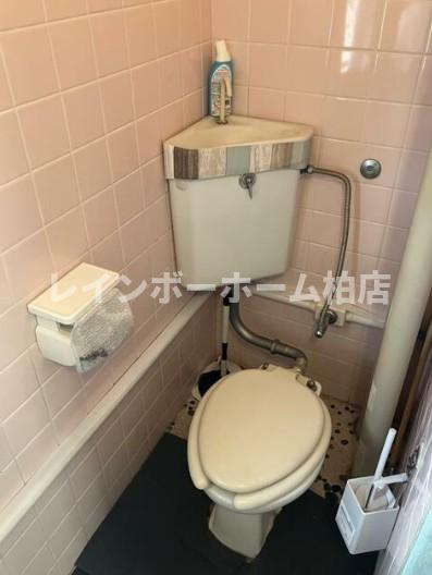 特典：仲介手数料が無料です!!のトイレ|落ち着いたトイレです