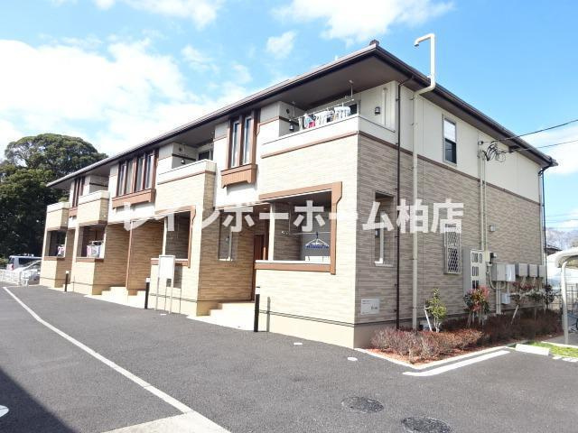 【仲介手数料：50％OFF】対象物件！の外観|物件の外観です