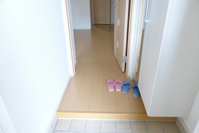 アイリス　Ⅰのその他