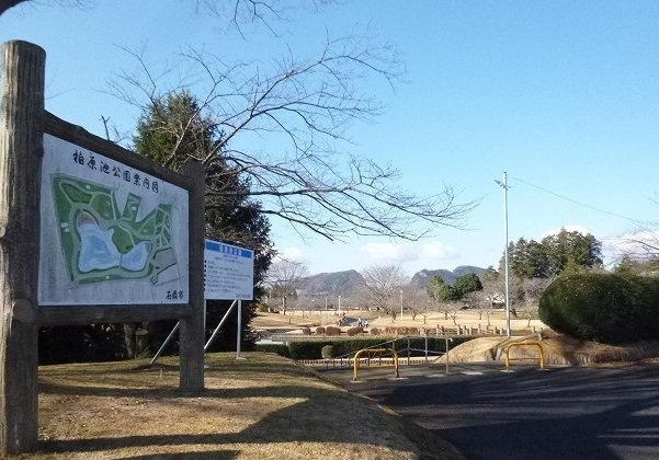 アイリス　Ⅰの周辺|柏原池公園まで1900m