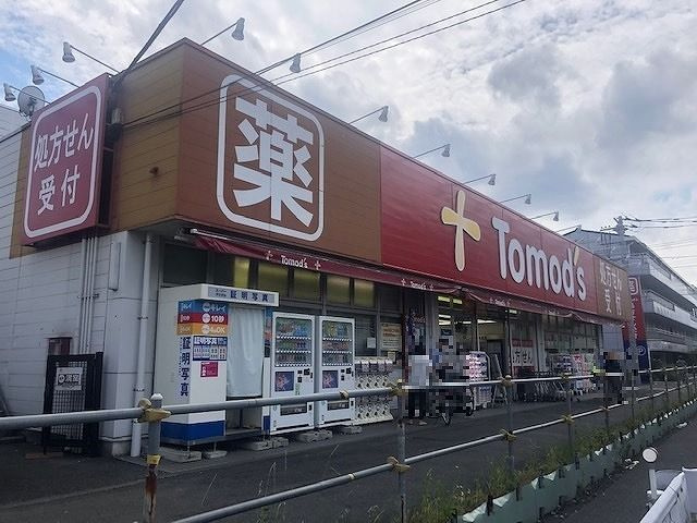 プレシャス・グリーンのその他