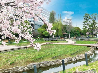 【その他】 | ガーラ・アヴェニュー東大島 | 仙台堀川公園