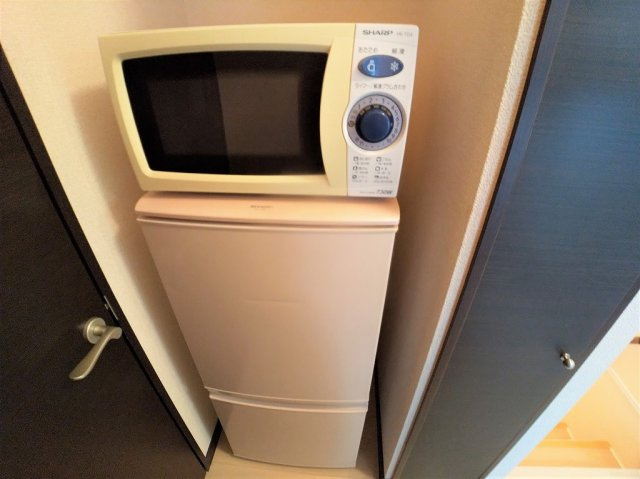 レオネクストおおなりのその他|電子レンジと冷蔵庫