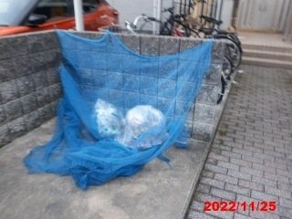 レオパレスＫＡＴＯＨⅢのその他