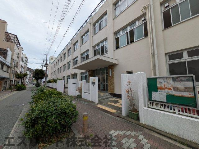 エスリード弁天町セミリア302号室の周辺|小学校