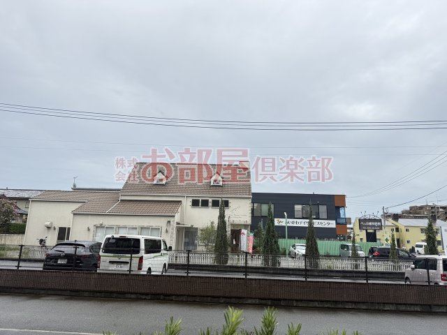 シーベルの展望