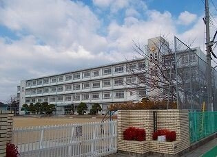 エムグレイスの周辺|妻鹿小学校まで550m
