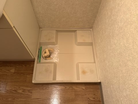 プロニティハウスのその他