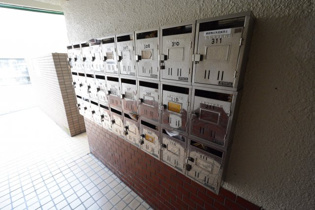 向川原土井マンションのその他物件画像