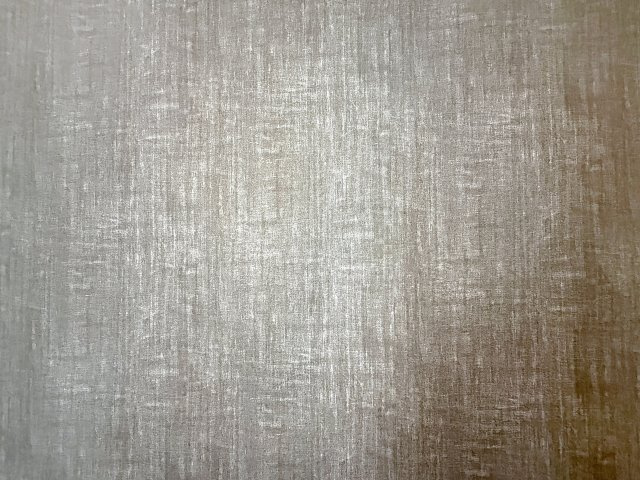 ハイツしらさぎの内装