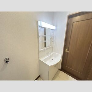 DUPLEX 国王352Aの洗面所
