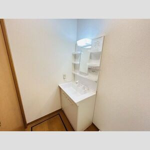 Procion Bの洗面所