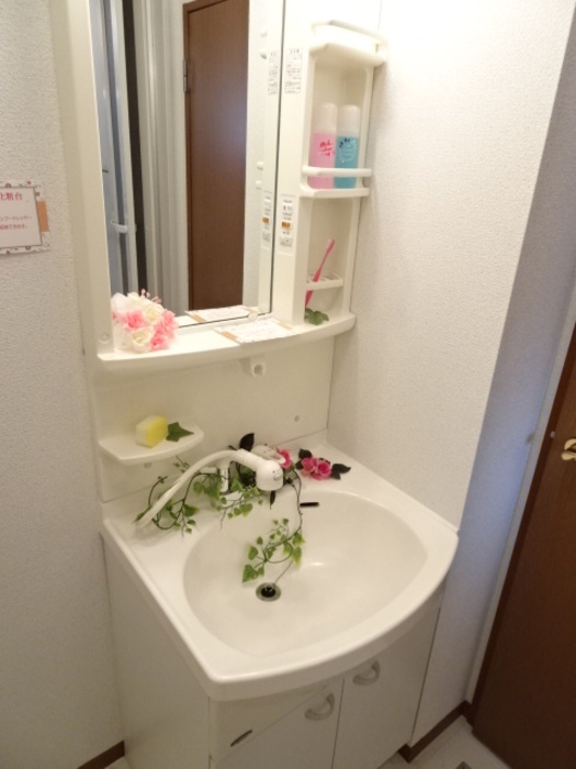 ボナールハイムの洗面所