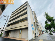 ティーブロッサムの画像