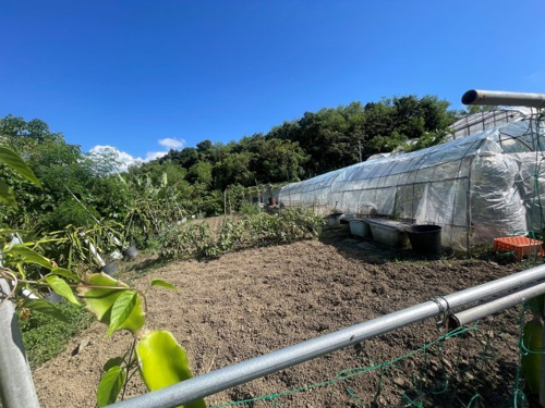 豊見城市字長堂山垣原（農地）の画像