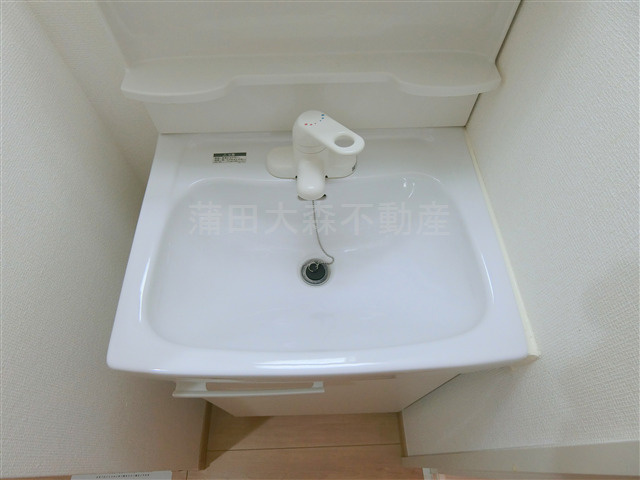 インベスト蒲田４５の洗面所