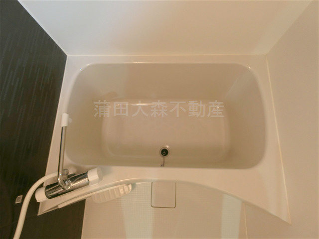 インベスト蒲田４５の浴室