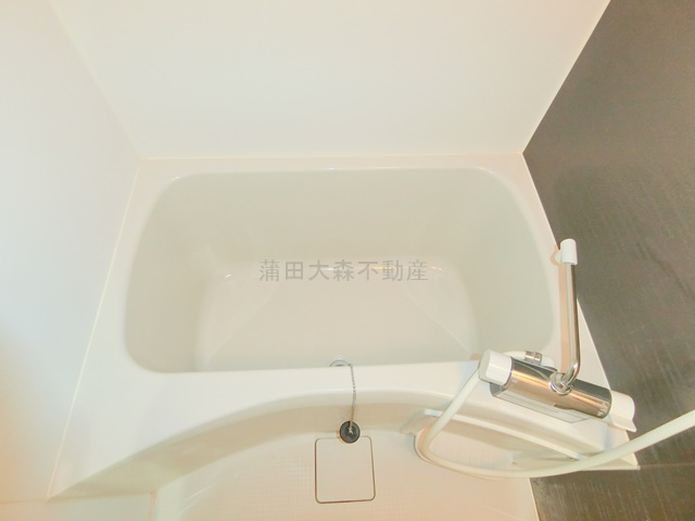 インベスト蒲田４５の浴室